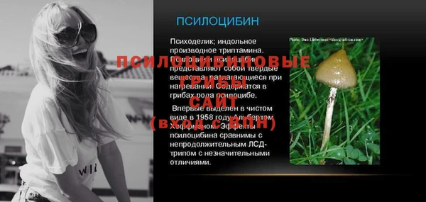эйфоретик Надым