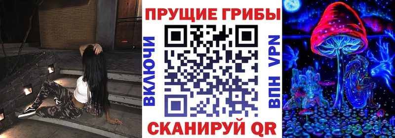 Купить где  Медногорск  Галлюциногенные грибы Psilocybe 